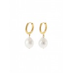 BRINCOS AÇO PEARLY HOOPS GOLD OJEEP07G