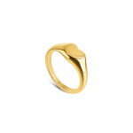 ANEL AÇO SENHORA CRAZY HEART GOLD OJCHR05G