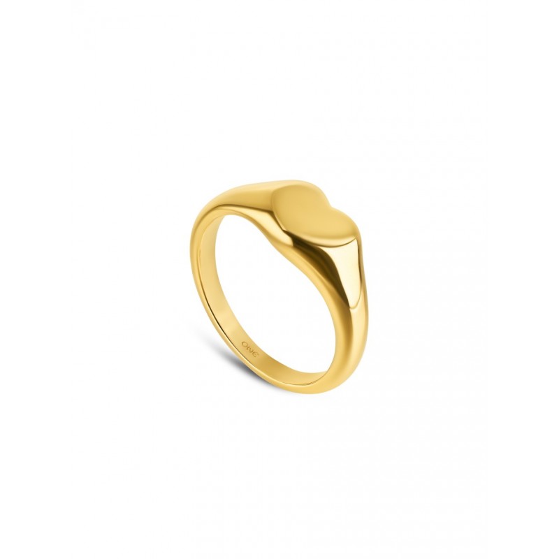 ANEL AÇO SENHORA CRAZY HEART GOLD OJCHR05G
