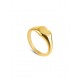 ANEL AÇO SENHORA CRAZY HEART GOLD OJCHR05G