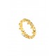 ANEL AÇO SENHORA FLEUR GOLD OJPFR01G