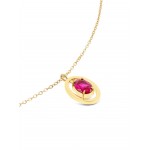COLAR AÇO SENHORA JULY- PASSION OJNN42G