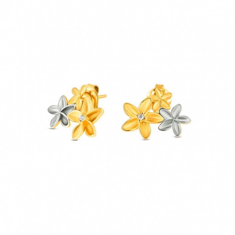 BRINCOS AÇO SENHORA FLEUR BICOLOR OJPFE01SG