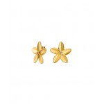 BRINCOS AÇO SENHORA FLEUR GOLD OJPFE02