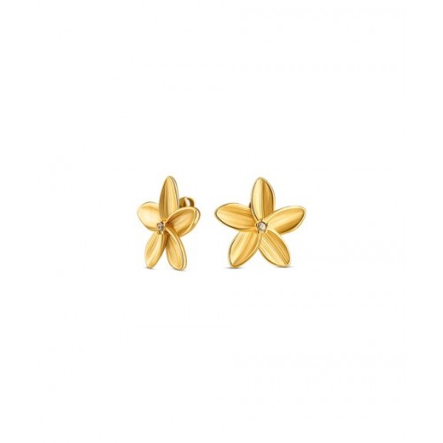 BRINCOS AÇO SENHORA FLEUR GOLD OJPFE02