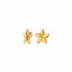 BRINCOS AÇO SENHORA FLEUR GOLD OJPFE02