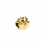 CHARME AÇO STORY ENERGY FOR LIFE LOTUS GOLD OJCS03G