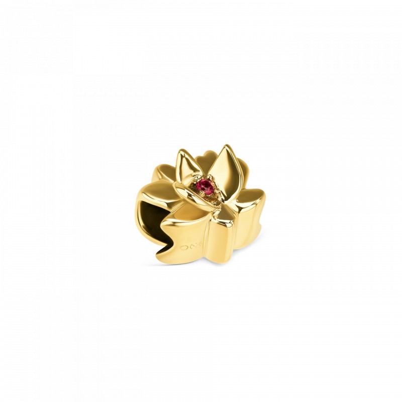 CHARME AÇO STORY ENERGY FOR LIFE LOTUS GOLD OJCS03G