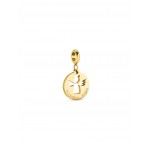 CHARME AÇO ENERGY GUARDIAN ANGEL GOLD OJEBC780