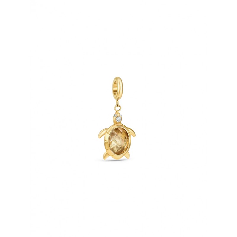 CHARME AÇO ENERGY SEA TURTLE GOLD OJEBC786