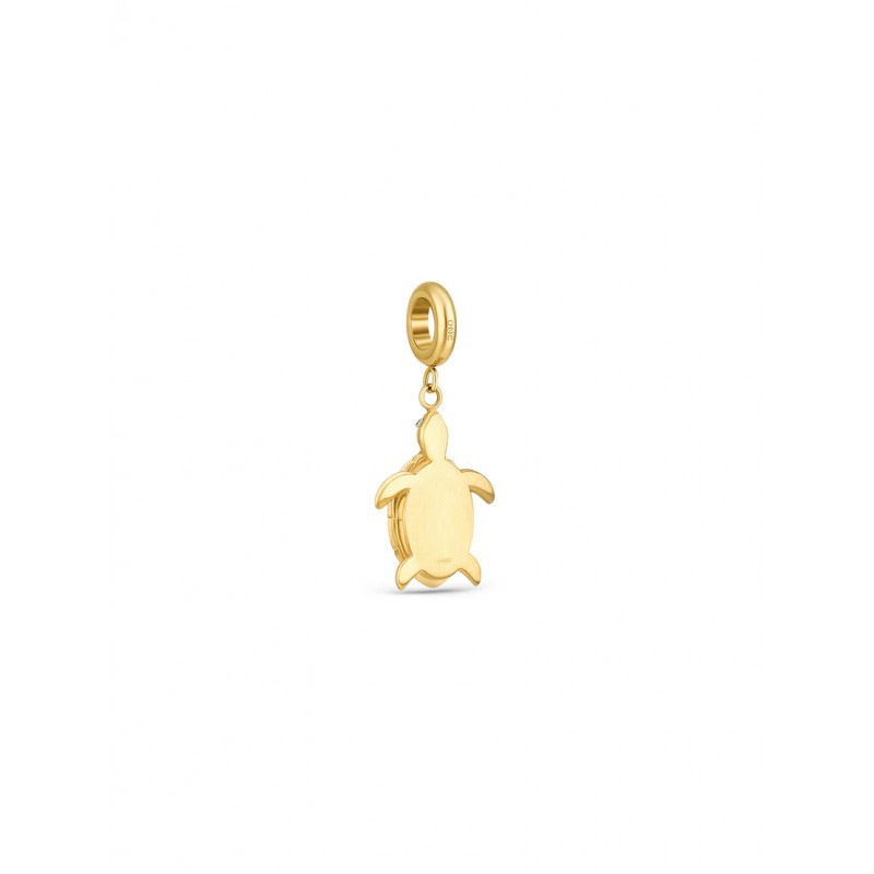 CHARME AÇO ENERGY SEA TURTLE GOLD OJEBC786