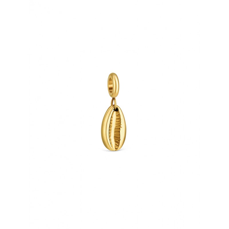 CHARME AÇO ENERGY SHELL GOLD OJEBC799