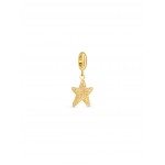 CHARME AÇO ENERGY STARFISH GOLD OJEBC800