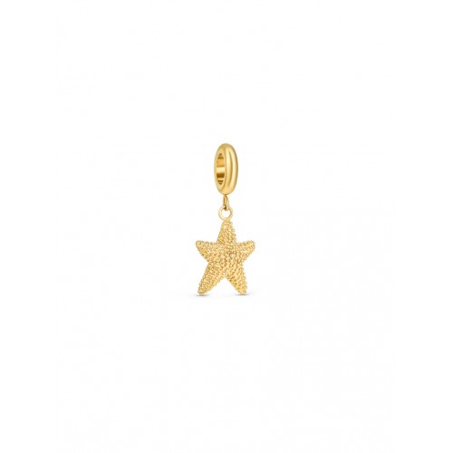 CHARME AÇO ENERGY STARFISH GOLD OJEBC800
