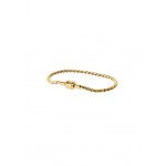 PULSEIRA ENERGY MASTER TWISTED GOLD OJBMT01G