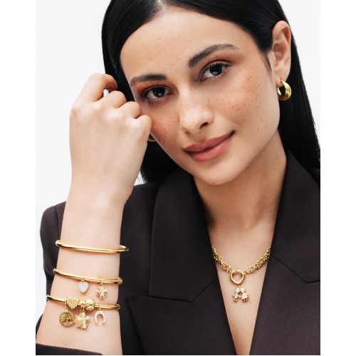 CHARME AÇO ENERGY AMULET GOLD OJEBC747