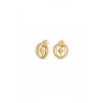 BRINCOS AÇO SENHORA ELENA BRILLIANCE  GOLD OJATE08D