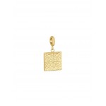 CHARME AÇO ENERGY TILE GOLD OJEBC770