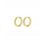 BRINCOS AÇO ENERGY MASTER HOOP GOLD OJEMG01