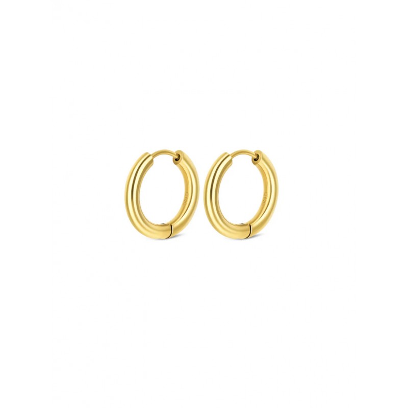 BRINCOS AÇO ENERGY MASTER HOOP GOLD OJEMG01