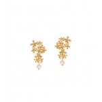 BRINCOS PRATA LOUISE BR.LOUISE11XPL