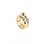 ANEL AÇO SENHORA LUMINOUS CRYSTAL GOLD OJLR01G