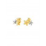 BRINCOS AÇO SENHORA FLEUR BICOLOR OJPFE01SG