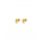 BRINCOS AÇO SENHORA ROSE PEARL GOLD OJRE02D