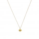 COLAR AÇO SENHORA NECKMESS HEART GOLD OJNN28G