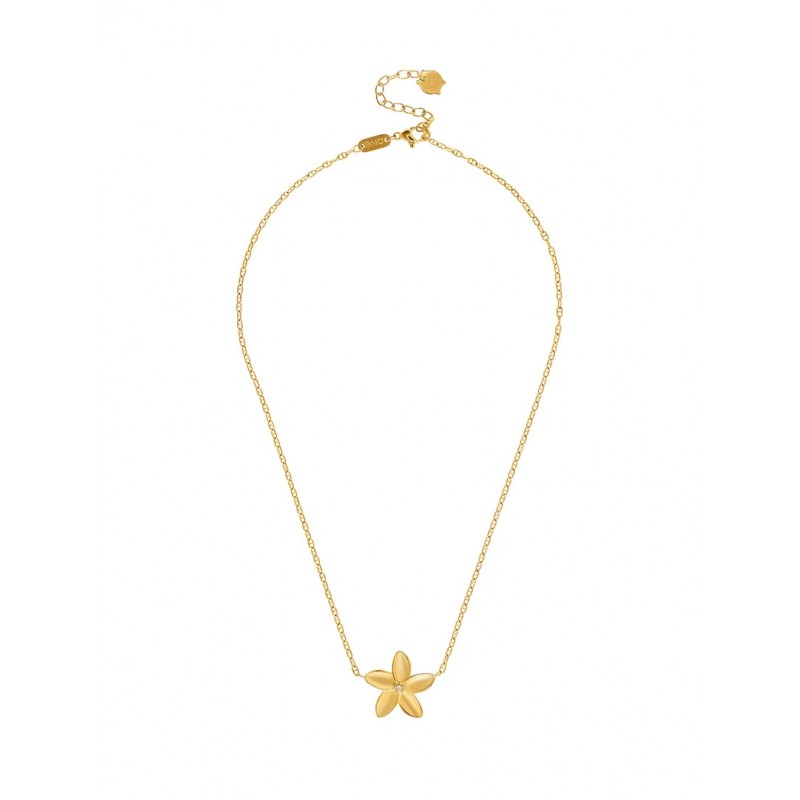 COLAR AÇO SENHORA FLEUR GOLD OJPFN02G
