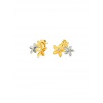 BRINCOS AÇO SENHORA FLEUR BICOLOR OJPFE01SG
