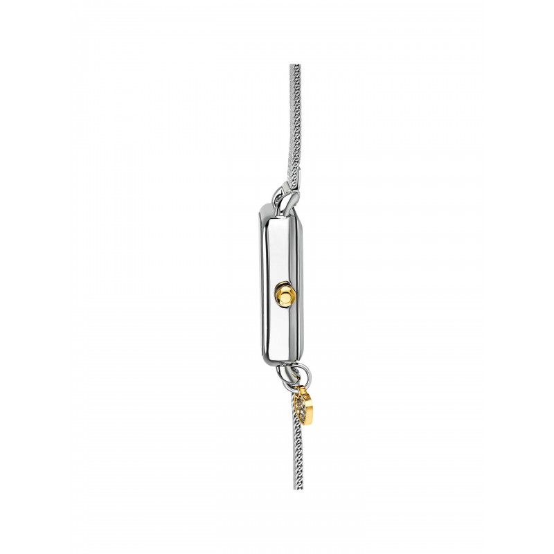 RELÓGIO SENHORA CHARMY BICOLOR OL9577SS61L