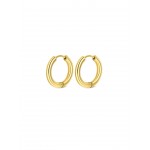 BRINCOS AÇO ENERGY MASTER HOOP GOLD OJEMG01