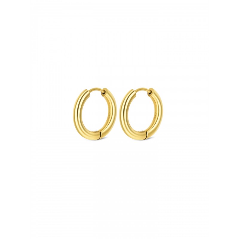 BRINCOS AÇO ENERGY MASTER HOOP GOLD OJEMG01